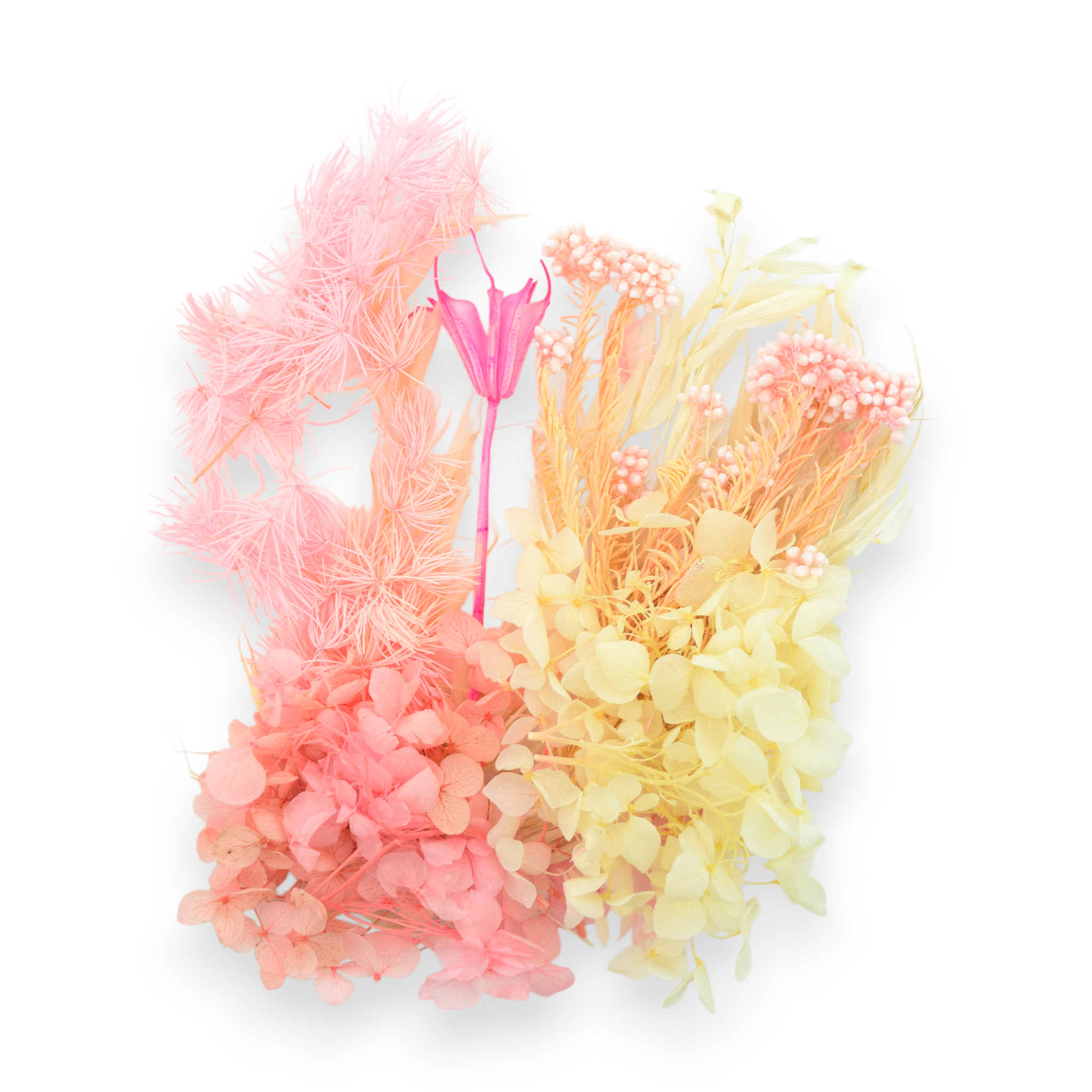 Dried Flowers - Pink